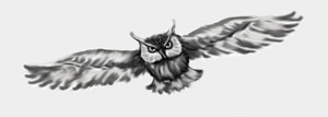 flying